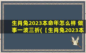 生肖兔2023本命年怎么样 做事一波三折(【生肖兔2023本命年运势解析】)